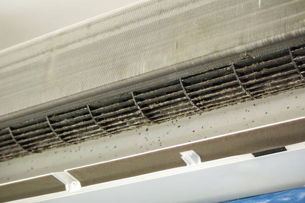 Best Commercial Air Duct Cleaning  in Mitchell, IL